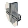 Yonglijian Aluminum - 100 Hidden Frame Curtain Wall